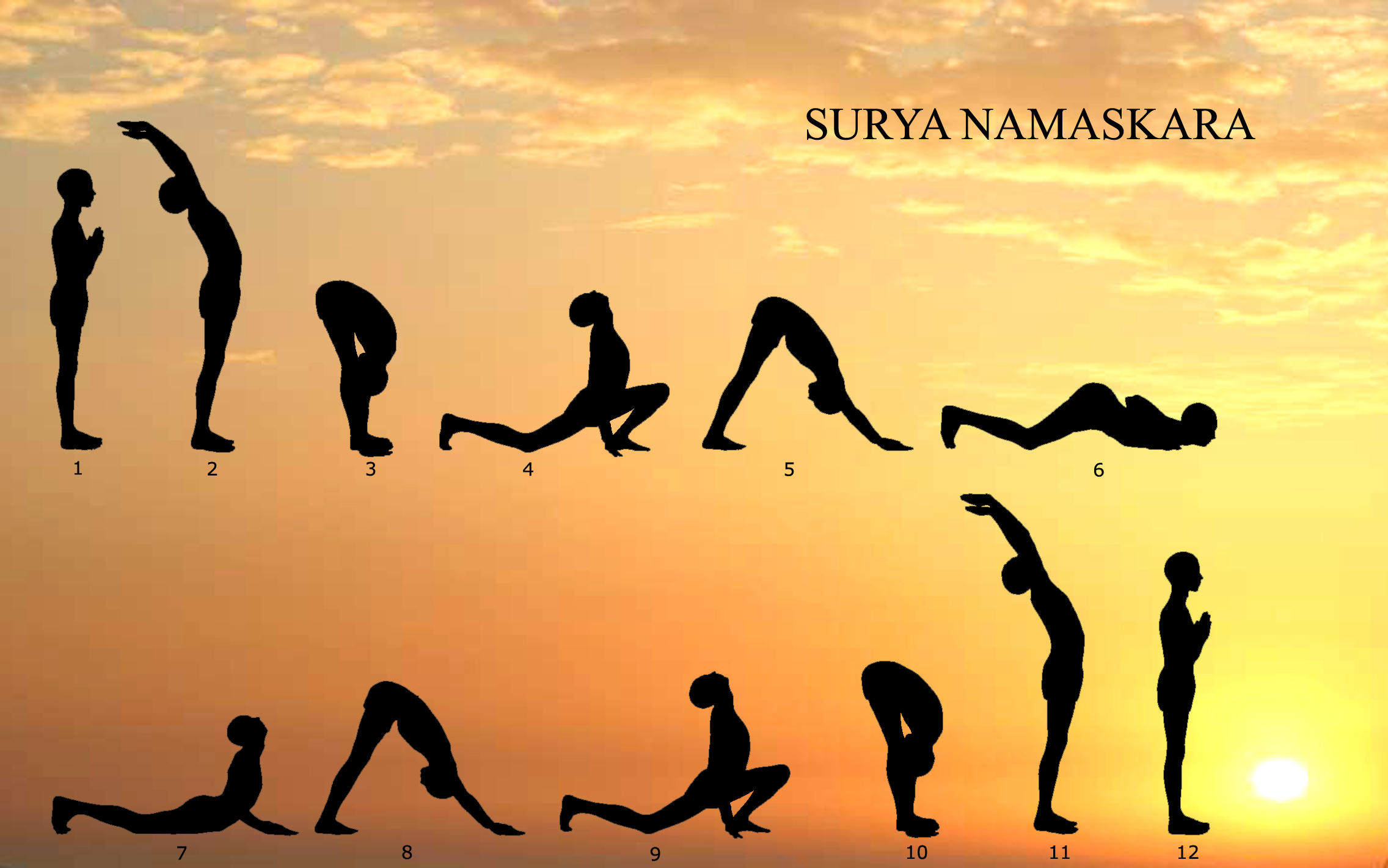 Surya Namaskar B. Sun Solutation. Vector illustration set of eighteen basic  poses. Curvaceous female doing yoga asanas on isolated background. Poster.  Banner. Stock Vector | Adobe Stock